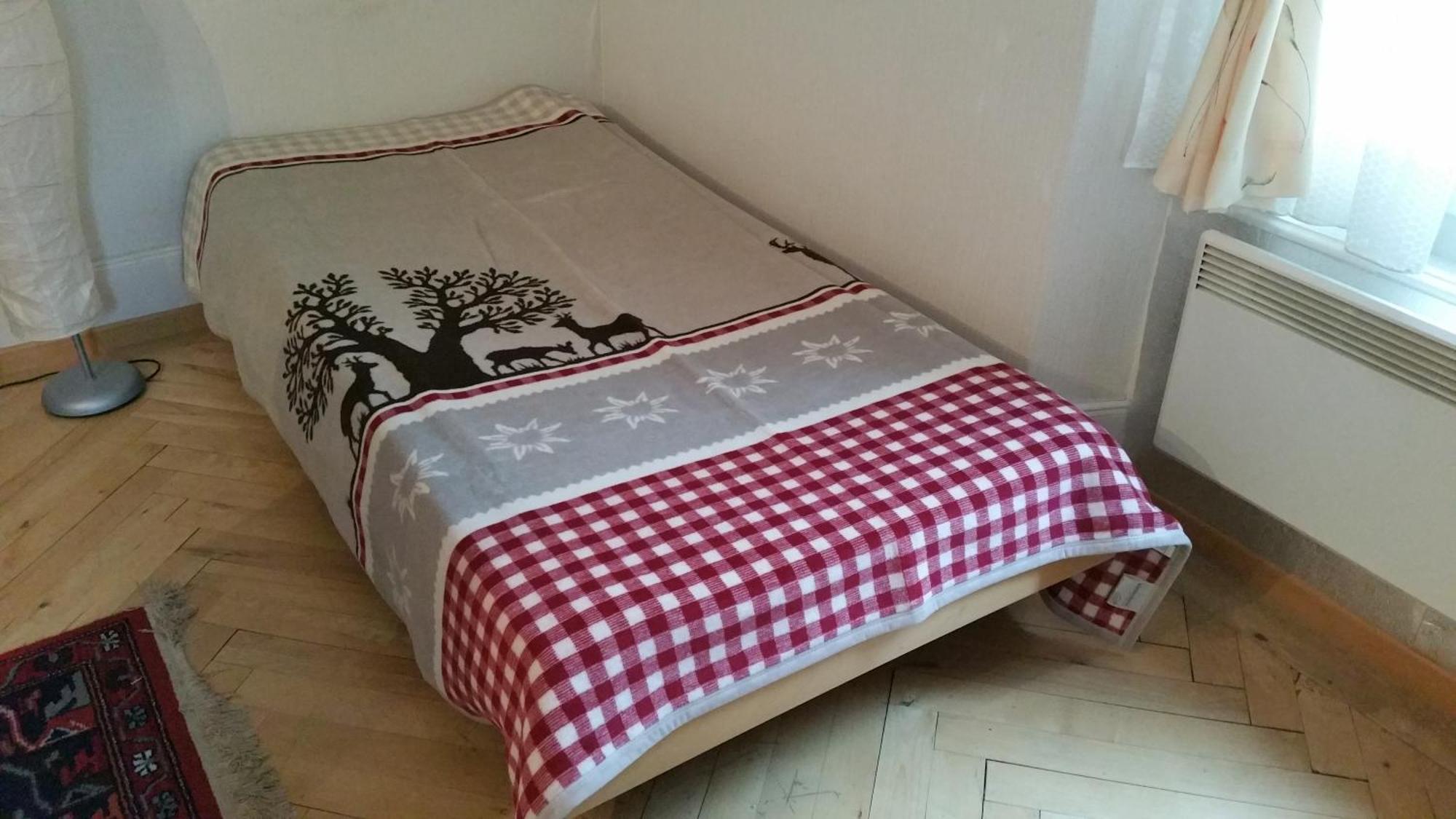 Ferienwohnung Haus Ryter Goschenen Room photo